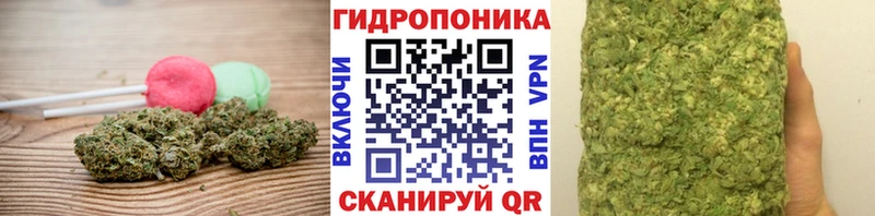 даркнет сайт  Отрадное  Печенье с ТГК марихуана 