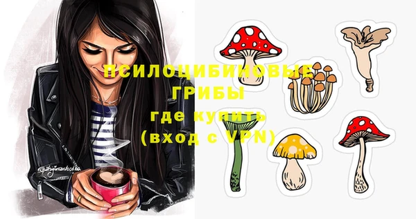 спайс Вяземский