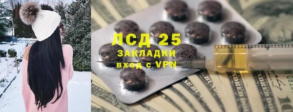 прущие грибы Снежногорск