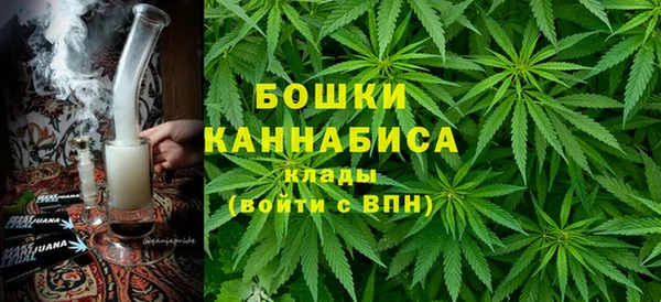 гидра Лагань